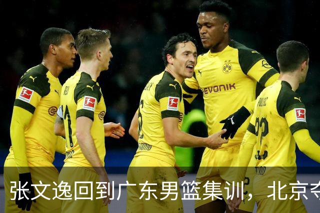 张文逸回到广东男篮集训，北京夺冠功勋确定退役，上海欲续约弗格